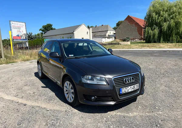 Audi A3 cena 21999 przebieg: 316050, rok produkcji 2008 z Wrocław małe 121